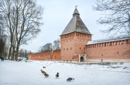 Копытенская башня с воротами и утки на снегу в Смоленске