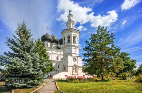Никольская церковь и цветы, Вологда