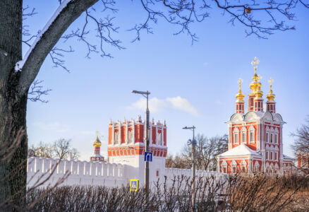 Новодевичий монастырь и пруд зимой, скульптура Утка и утята, Москва