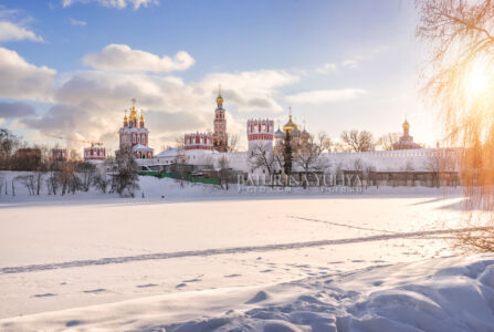 Новодевичий монастырь зимой и скульптуры уток, Москва