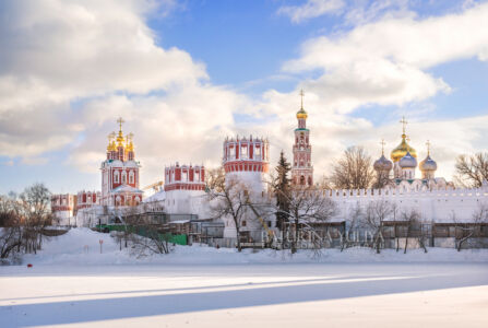 Новодевичий монастырь зимой и скульптуры уток, Москва