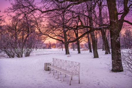 Скамейка и розовый вечер, Царское Село, Санкт-Петербург