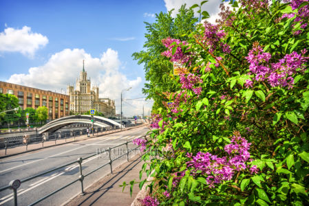 Высотка-небоскреб на Котельнической набережной и сирень, река Яуза, Тессинский мост, Москва