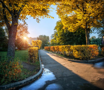Осень в парке, Парк Горького, Москва