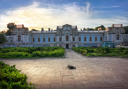 Мариинский дворец и собака, Киев